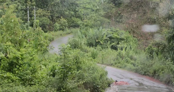 খাগড়াছড়ির রাস্তা