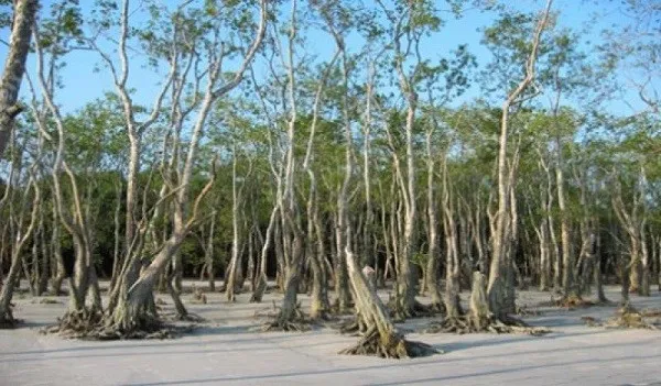 নিরাপত্তাহীনতায় সুন্দরী