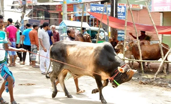 ‘ফেসবুক পুলিশিংকে না বলুন’