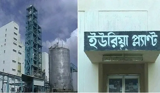 অ্যামোনিয়া গ্যাস সতর্কতায় দরজা-জানালা খোলা রাখার পরামর্শ