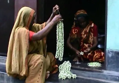 ফুল চাষ করে ভাগ্য বদলেছেন আবদুল আলীম