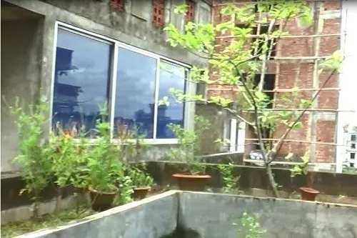 সবুজায়নে একটু অন্যরকম যে ওয়ার্ড