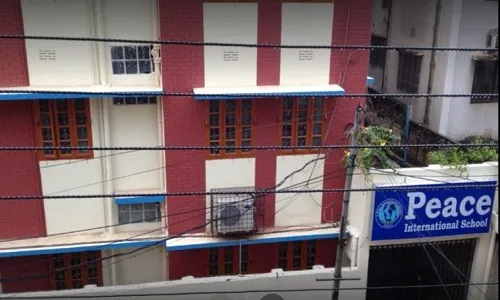 নতুন নামে পিস স্কুল