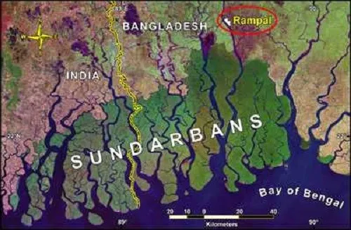রামপাল ও অনলাইনে ‘তালগাছ’ নিয়ে টানাটানি