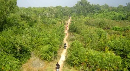 ‘ডিজিটাল যুগে বন-জঙ্গল দিয়ে কী লাভ!’