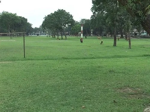 ঈদ জামাতের জন্য প্রস্তুত শোলাকিয়া
