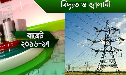 ‘কয়লাই হবে বিদ্যুৎ উৎপাদনের প্রধান জ্বালানী’