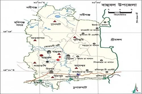দাঁড়িয়ে থাকা বাসে পিকআপের ধাক্কা, নিহত ২