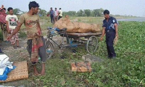 সাত খুন মামলায় নতুন ৫ জনের সাক্ষ্য সম্পন্ন