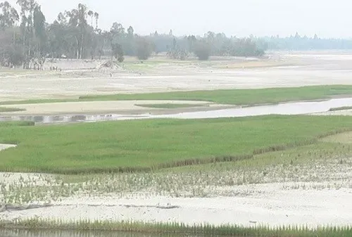 কুড়িগ্রামে পানিশূন্য ধরলা নদী, বিপর্যস্ত কৃষি