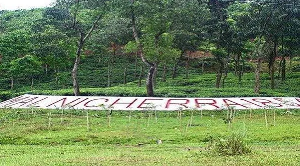 বাগানের নাম মালনীছড়া