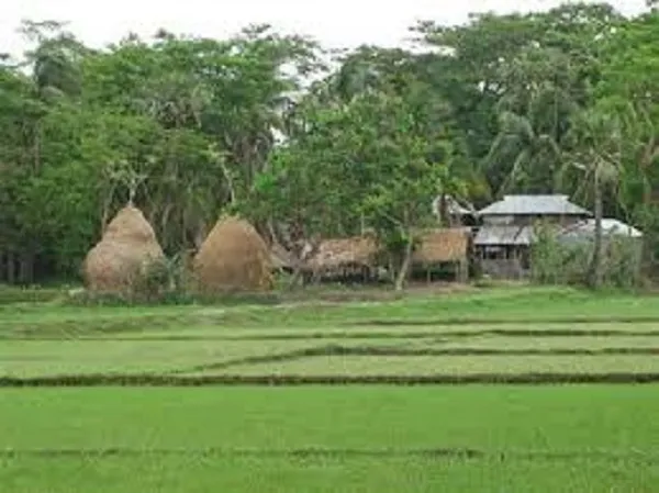 গ্রামে গঞ্জে সামাজিক অবক্ষয়: কারণ, প্রভাব ও প্রতিকার