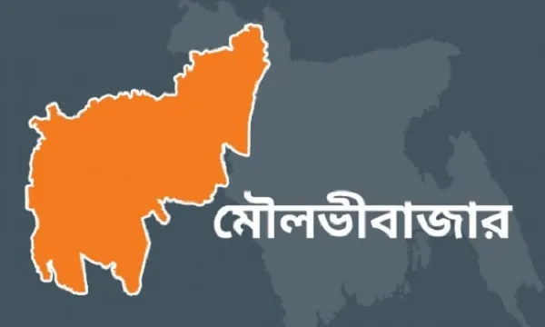 শ্রীমঙ্গলে শ্রমিক-বিজিবি লঙ্কাকাণ্ড