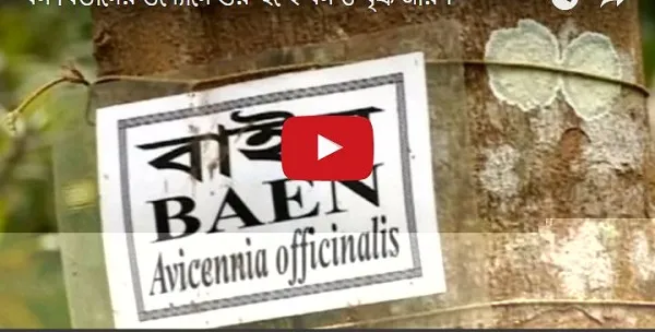 প্রথমবারের মতো বন ও বৃক্ষ জরিপ শুরু