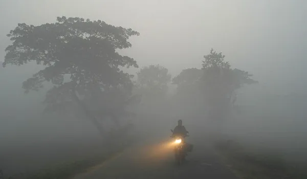 ঢাকায় শীতের কুয়াশাচ্ছন্ন সকাল, ধোঁয়াটে আকাশ ও গাছের silhouette. Channel i News - চ্যানেল আই নিউজ