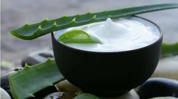 স্বাস্থ্য ও সৌন্দর্যে অ্যালোভেরার ব্যবহার