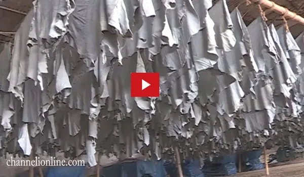 আদালতে আপিল করবেন ট্যানারি মালিকরা