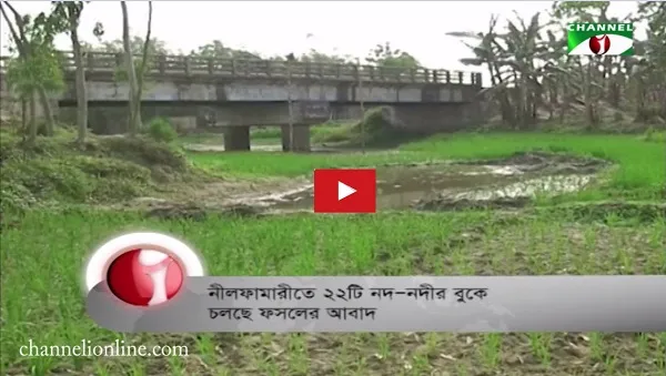 নীলফামারীর ২২ নদীর বুকে ফসলের আবাদ
