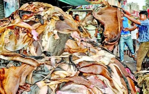 বকেয়া টাকা-চামড়া ব্যবসায়ী