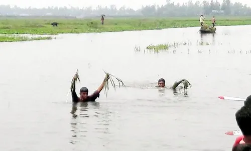 হাওর অঞ্চলে ৫০ হাজার জেলেকে ভিজিএফ কার্ড দেবে সরকার