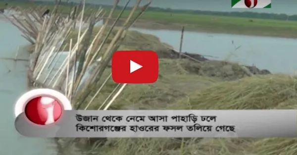 পাহাড়ি ঢলে দিশেহারা কিশোরগঞ্জের কৃষক