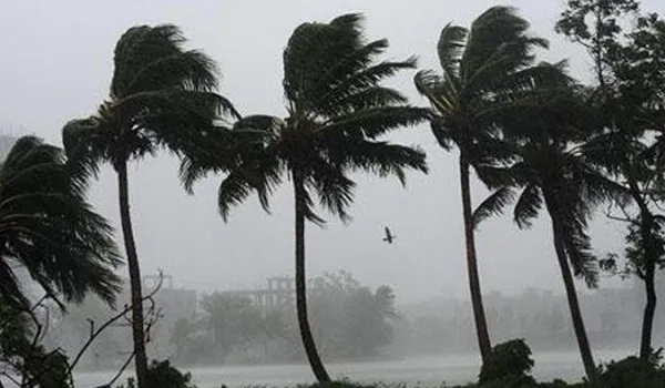 নাটোরে কালবৈশাখী ঝড়ে দুজনের মৃত্যু