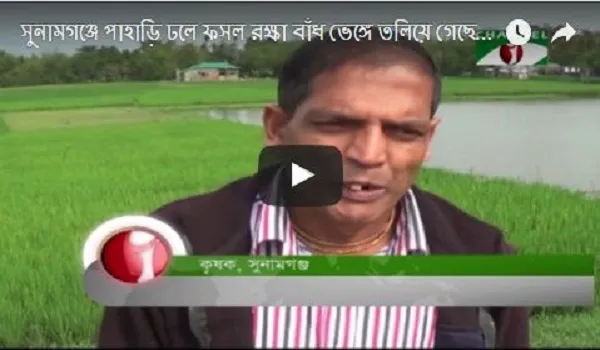 পাহাড়ি ঢলে বাঁধ ভেঙ্গে তলিয়ে গেছে হাজার হেক্টর জমির বোরো ধান