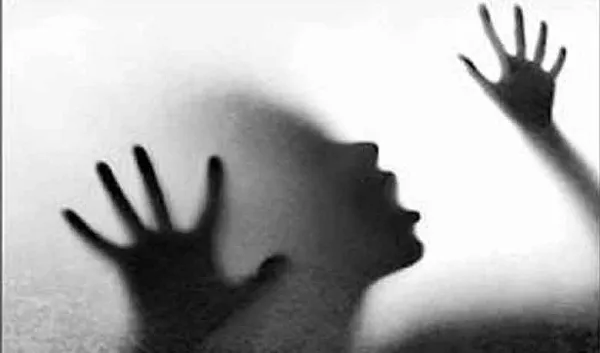 বনানীতে ছাত্রী ধর্ষণ: বাদীর বাসায় দুই যুবকের ঢোকার চেষ্টা