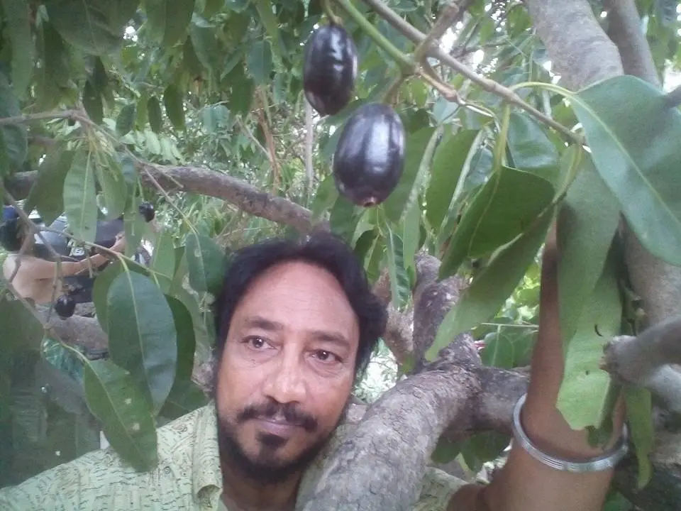 ‘জাম গাছে উঠলাম’