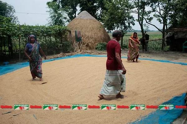 চাল