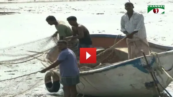 টংজাল ও বিহিন্দিজাল