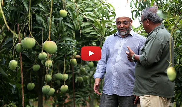 শাইখ সিরাজ ও আবুল কালাম আজাদ