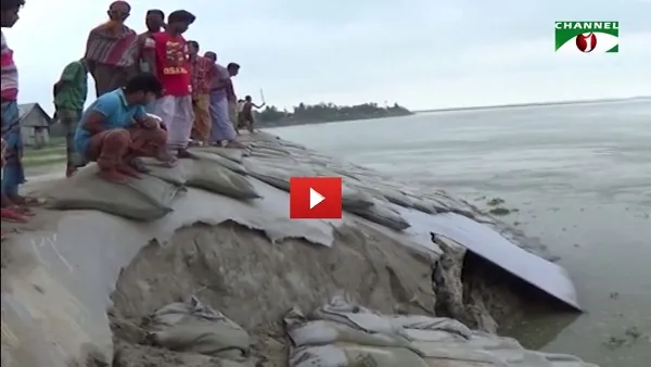 ব্রহ্মপুত্র-যমুনা নদীতে তীব্র ভাঙ্গনে গাইবান্ধায় বাড়িসহ আবাদি জমি বিলীন