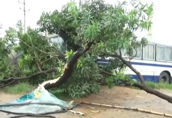 বাস দুর্ঘটনা