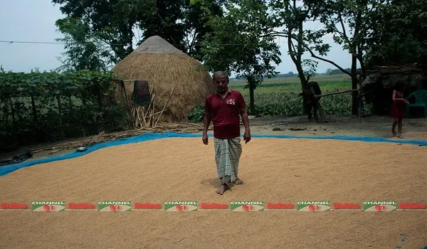 উৎপাদনে যেতে পারেনি কুষ্টিয়ার প্রায় ৬০ ভাগ চালকল