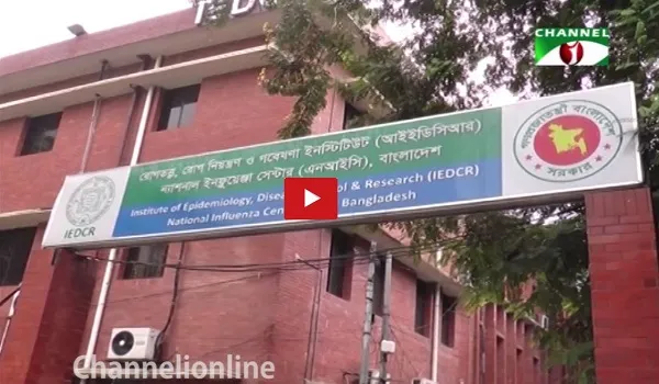 চিকুনগুনিয়া
