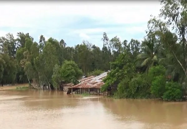 বন্যার পানি কমে টাঙ্গাইলে নদী ভাঙন