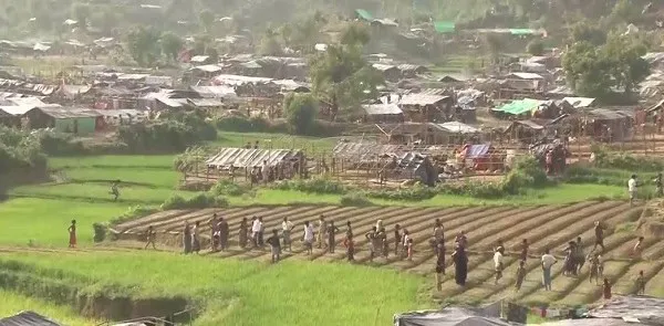 রোহিঙ্গা শরণার্থীরা বাংলাদেশের কক্সবাজারে বসবাস করছে. Channel i News - চ্যানেল আই নিউজ