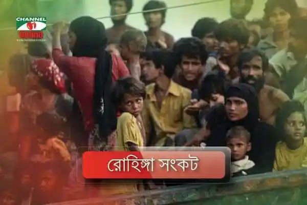 রোহিঙ্গা সংকট।