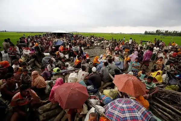 বাংলাদেশে পালিয়ে আসা রোহিঙ্গাদের বিশাল জনসমাগম, কৃষি জমিতে আশ্রয় নেওয়া. Channel i News - চ্যানেল আই নিউজ