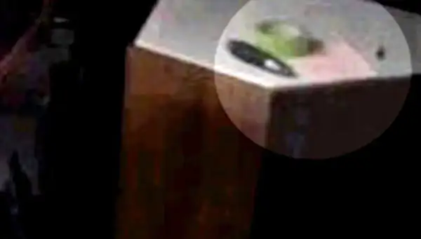 লাস ভেগাসে হামলা-স্টিফেস প্যাডক