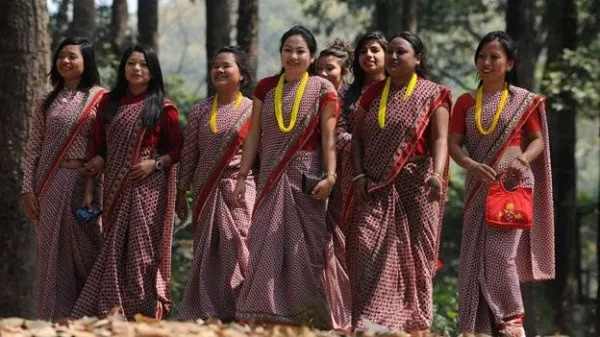 নারীরা সুন্দর পোষাক পরিহিত, একত্রে হাঁটছেন বনাঞ্চলে. Channel i News - চ্যানেল আই নিউজ