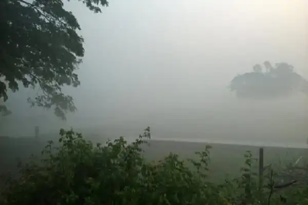 ঢাকায় শীতের কুয়াশাচ্ছন্ন সকাল, ধোঁয়াটে আকাশ ও গাছের silhouette. Channel i News - চ্যানেল আই নিউজ