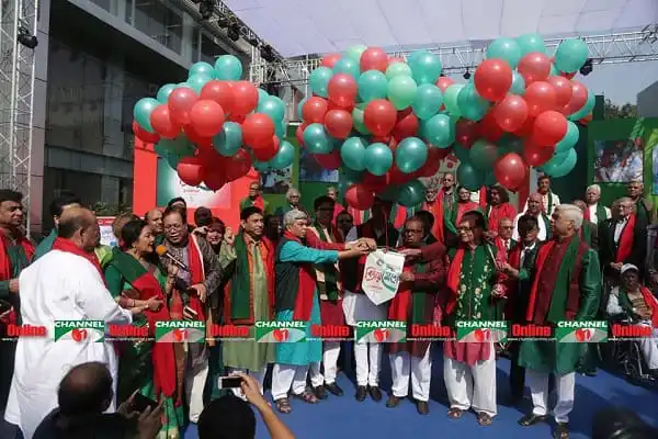 বিজয় মেলা