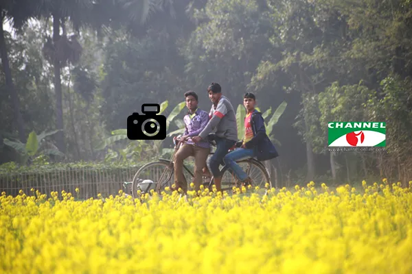 শীত তবু ভয়ংকর সুন্দর