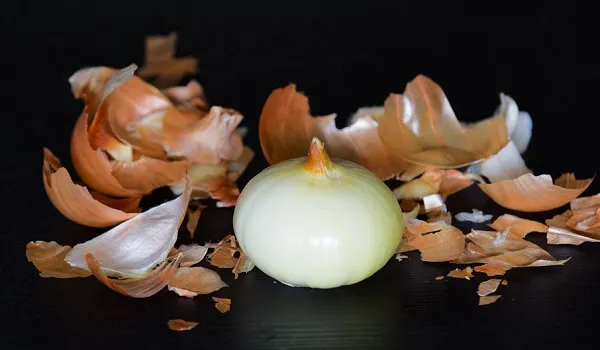 পেঁয়াজের খোসা