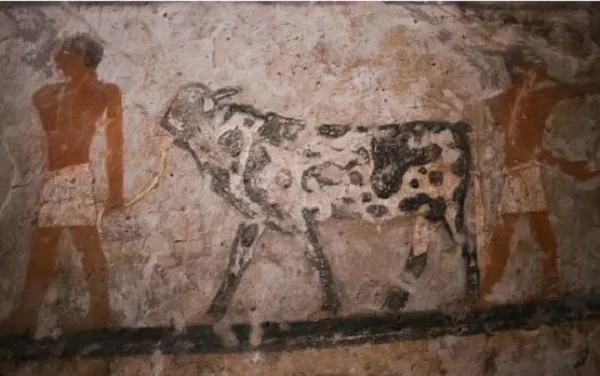 মিশর-সমাধি- নারী রাজ পুরোহিত