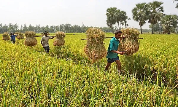 যে খবর আশা জাগায়, স্বপ্ন দেখায়