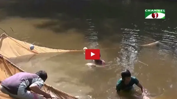 কাপ্তাই লেকের মৎস্য সম্পদ উন্নয়নে কর্মশালা