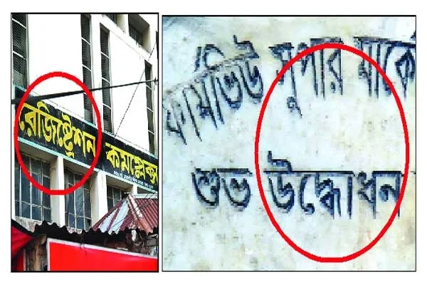 আমাদের ভাষা আন্দোলন, ভাষার অপব্যবহার ও দেখভাল